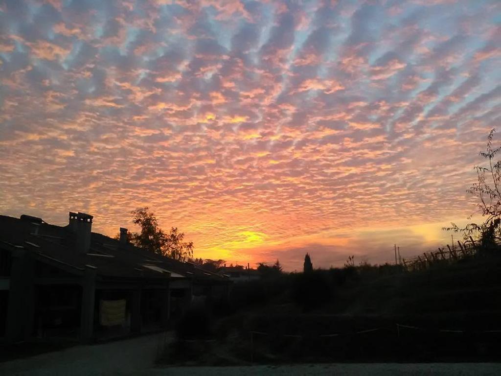 Agriturismo Le Essenze - Terrazza Sulla Romagna เชซานา ภายนอก รูปภาพ